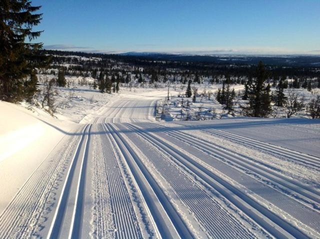 Centrally Located Cottage At Sjusjoen Ski Center ภายนอก รูปภาพ